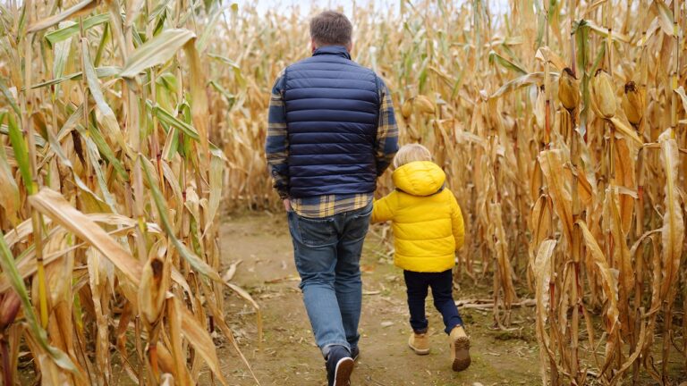 family corn maze