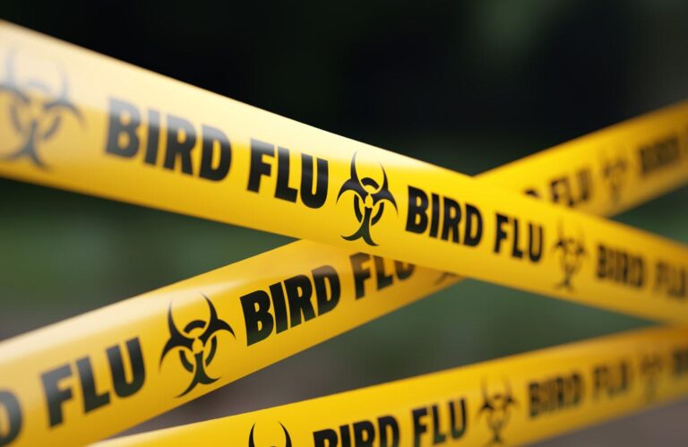 bird flu caution tape