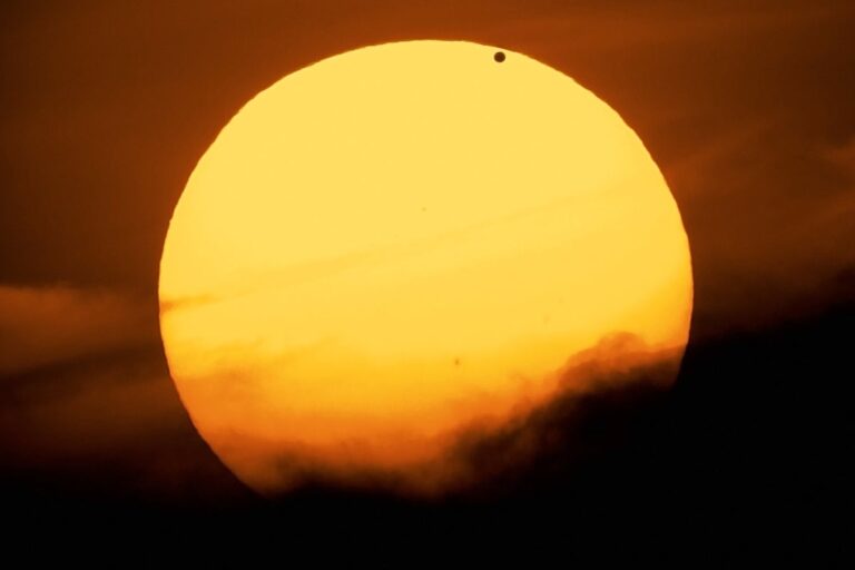 venus transits sun