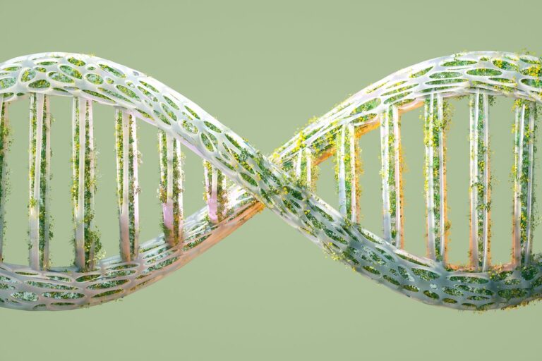 organic shaped DNA structure