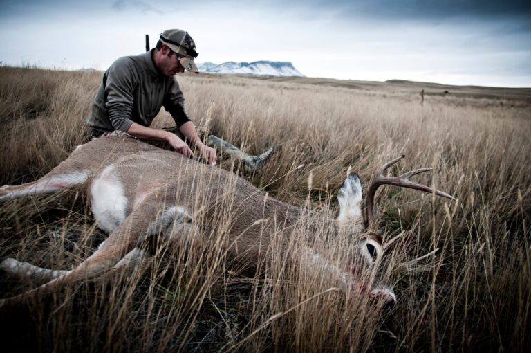 Chronic wasting disease