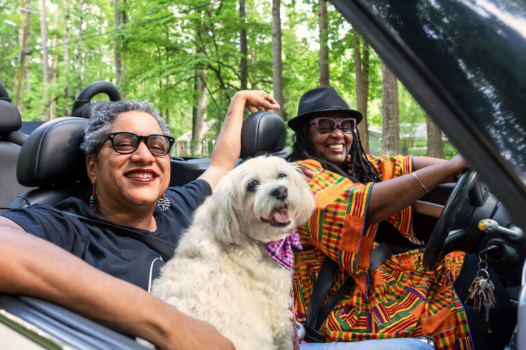 getty couple with dog in car happy smiling