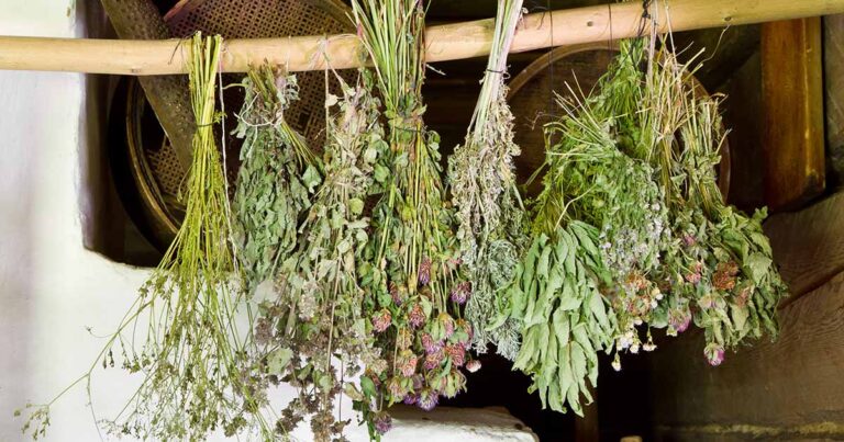 How to Dry Herbs FB