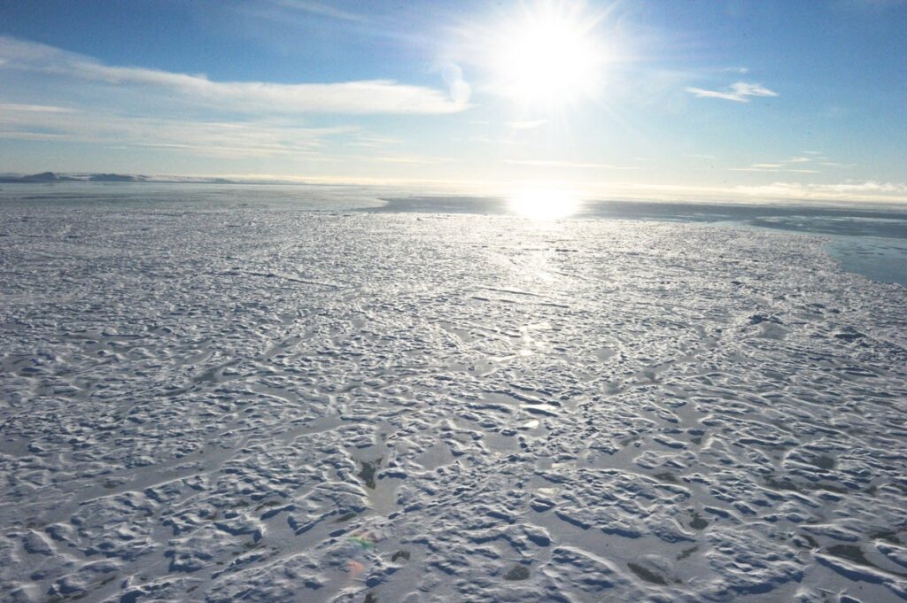 Canadian Arctic